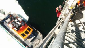 Sea Survival (GWO)