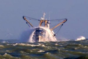 Basic Training - Fishing Vessel Module only 1